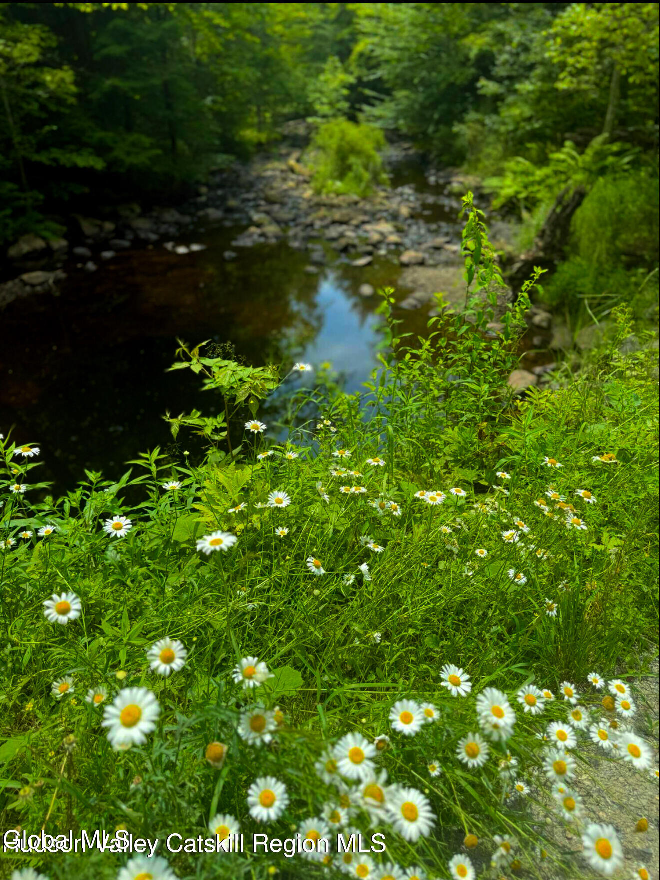 L21.11 Black River Road Stephentown, NY 12169 - Photo 20 of 24 Photo Sep 13 2025, 6 56 50 PM (2) (1)