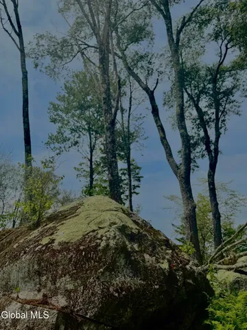 $450,000 | L21.11 Black River Road, Stephentown, NY 12169