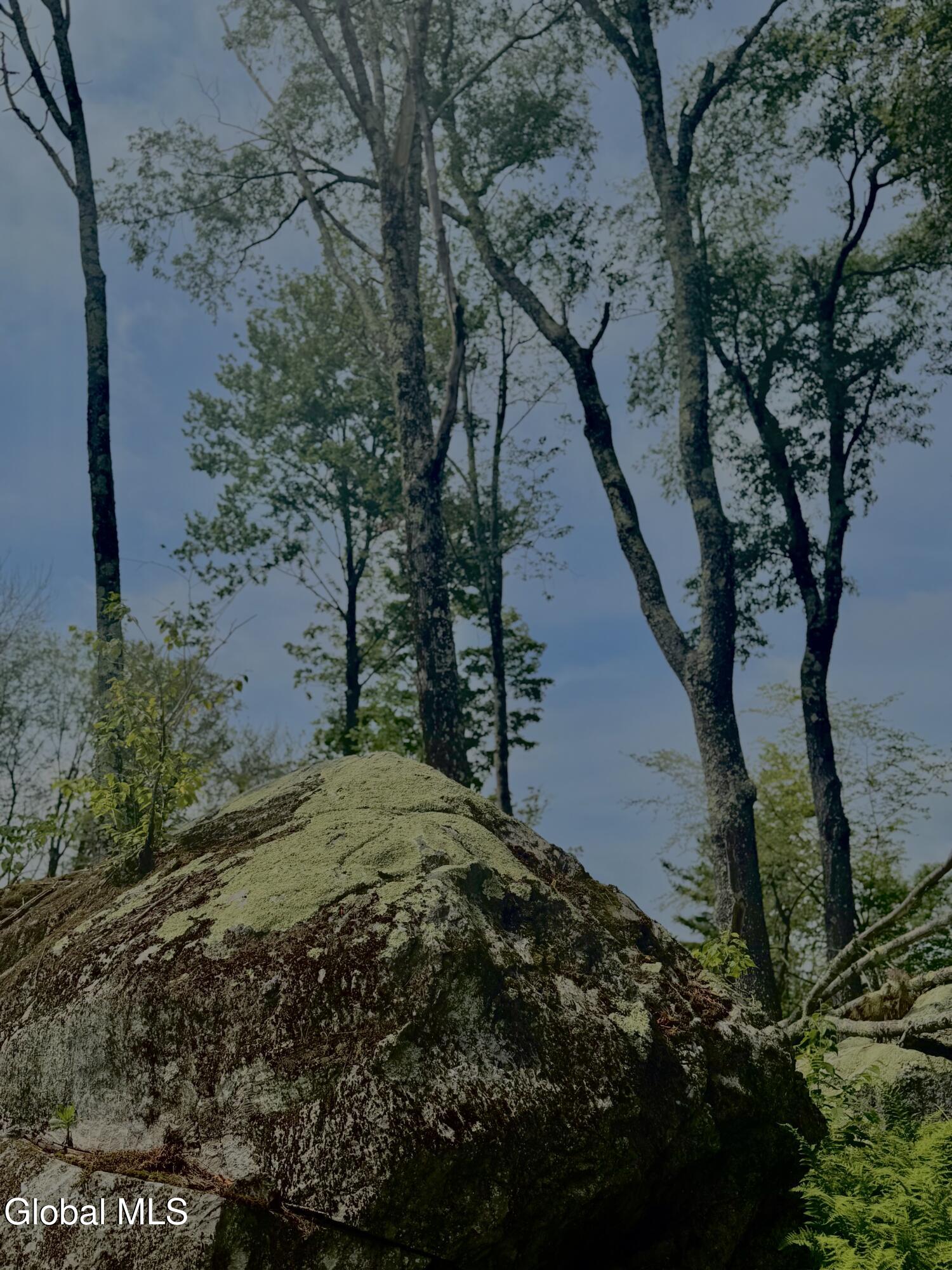 L21.11 Black River Road Stephentown, NY 12169 - Photo 22 of 24 Photo Jul 11 2025, 11 21 09 AM