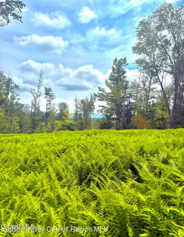 $450,000 | L21.11 Black River Road, Stephentown, NY 12169