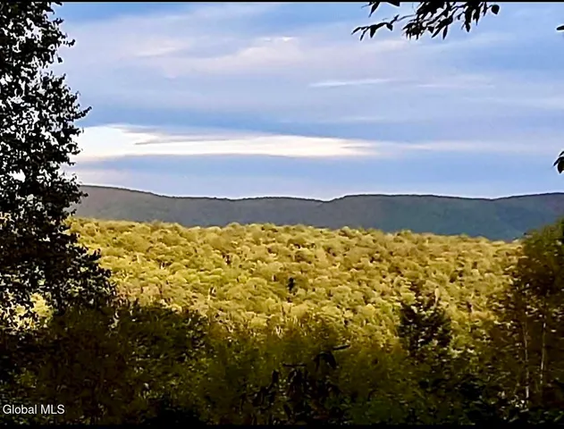 $450,000 | L21.11 Black River Road, Stephentown, NY 12169