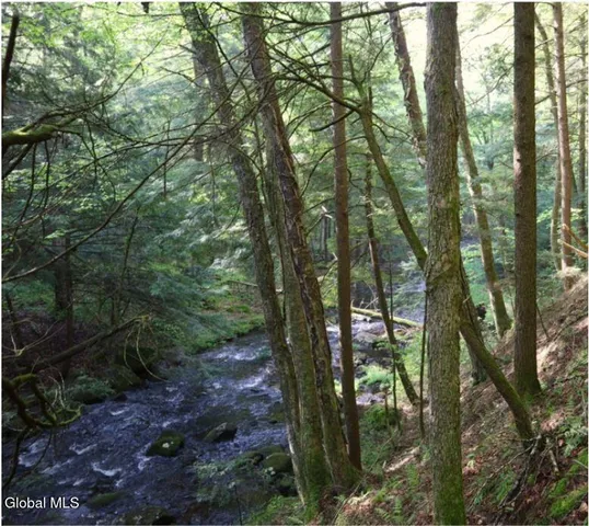 $450,000 | L21.11 Black River Road, Stephentown, NY 12169