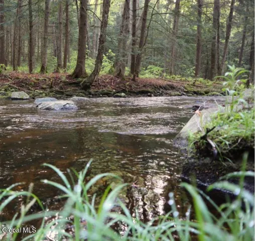 $450,000 | L21.11 Black River Road, Stephentown, NY 12169