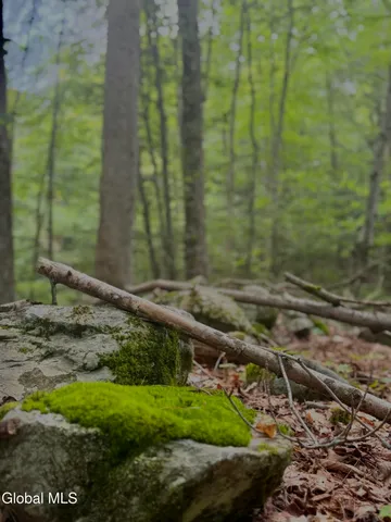 $450,000 | L21.11 Black River Road, Stephentown, NY 12169