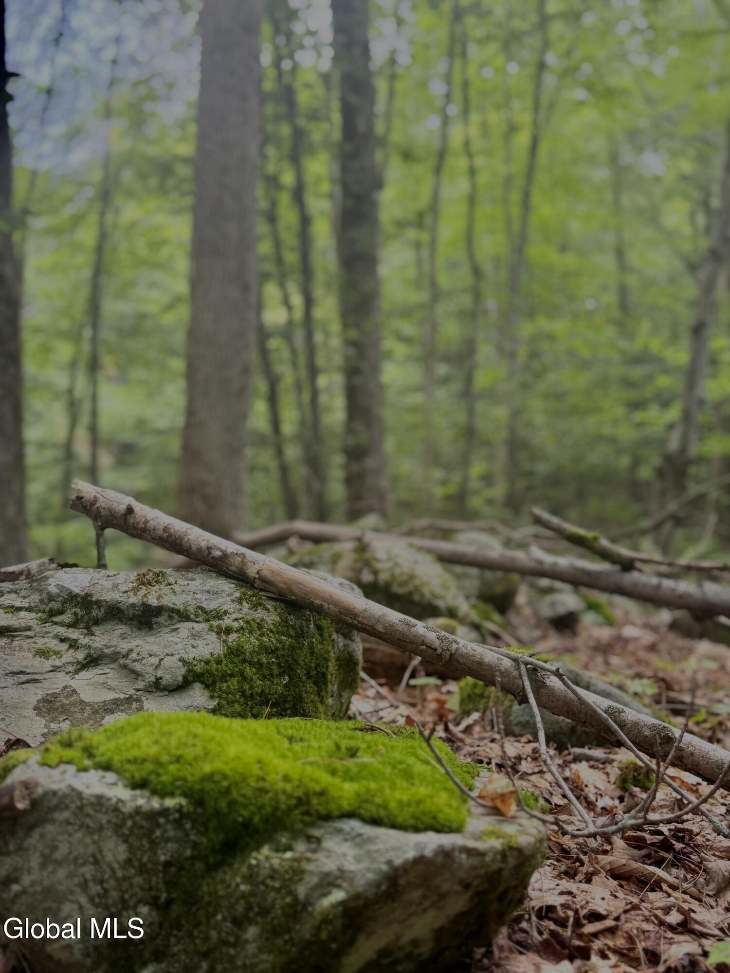 L21.11 Black River Road Stephentown, NY 12169 - Photo 9 of 24 Photo Jul 11 2025, 10 51 26 AM