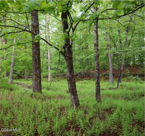 $450,000 | L21.11 Black River Road, Stephentown, NY 12169