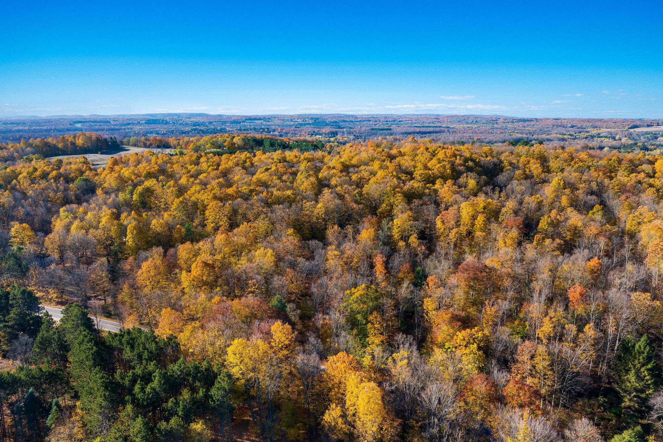 1452 Case Road Benzonia, MI 49616 - Photo 15 of 16