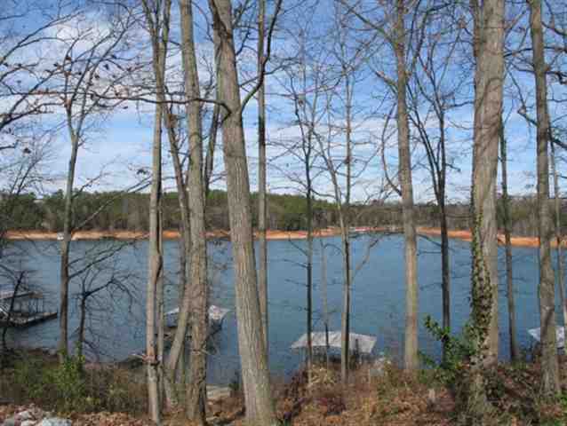301 Forest Cove Road Anderson, SC 29626 - Photo 8 of 25 Gallery Image 8