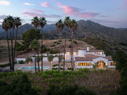 a aerial view of a house with a garden