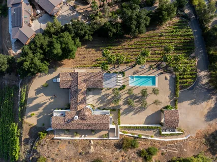a view of a yard with plants