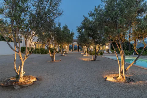a view of a park with large trees