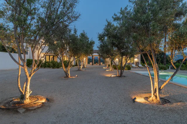 a view of a park with large trees