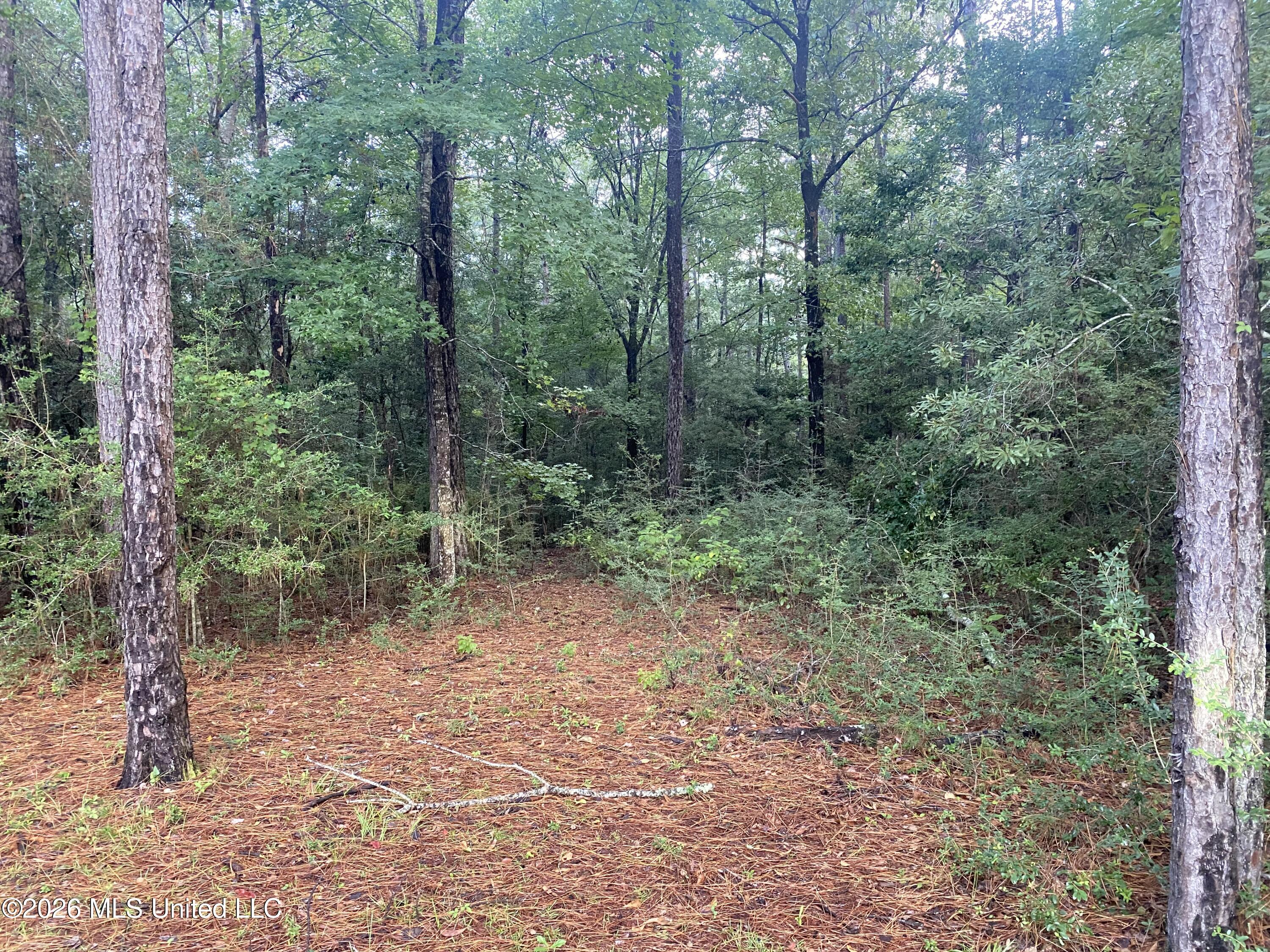 4 East Bond Road Wiggins, MS 39577 - Photo 4 of 4 IMG_5745
