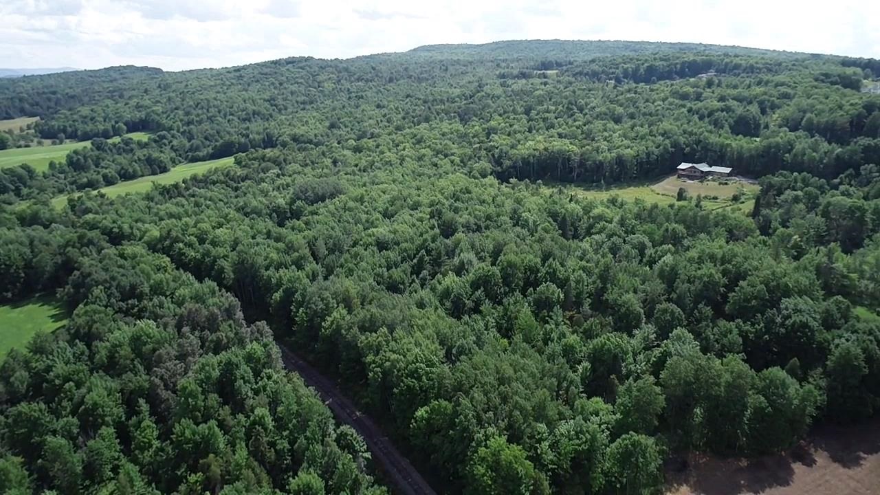 - Vance Hill Road Newport Center, VT 05857 - Photo 2 of 30