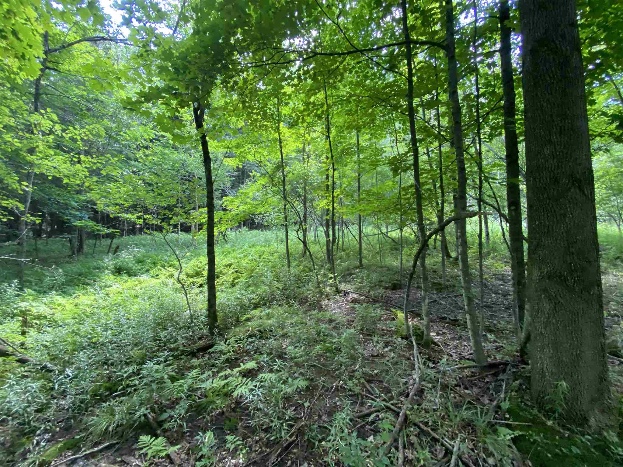 - Vance Hill Road Newport Center, VT 05857 - Photo 11 of 30