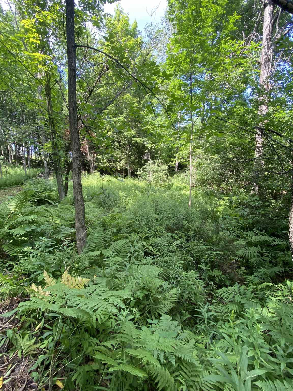 - Vance Hill Road Newport Center, VT 05857 - Photo 19 of 30