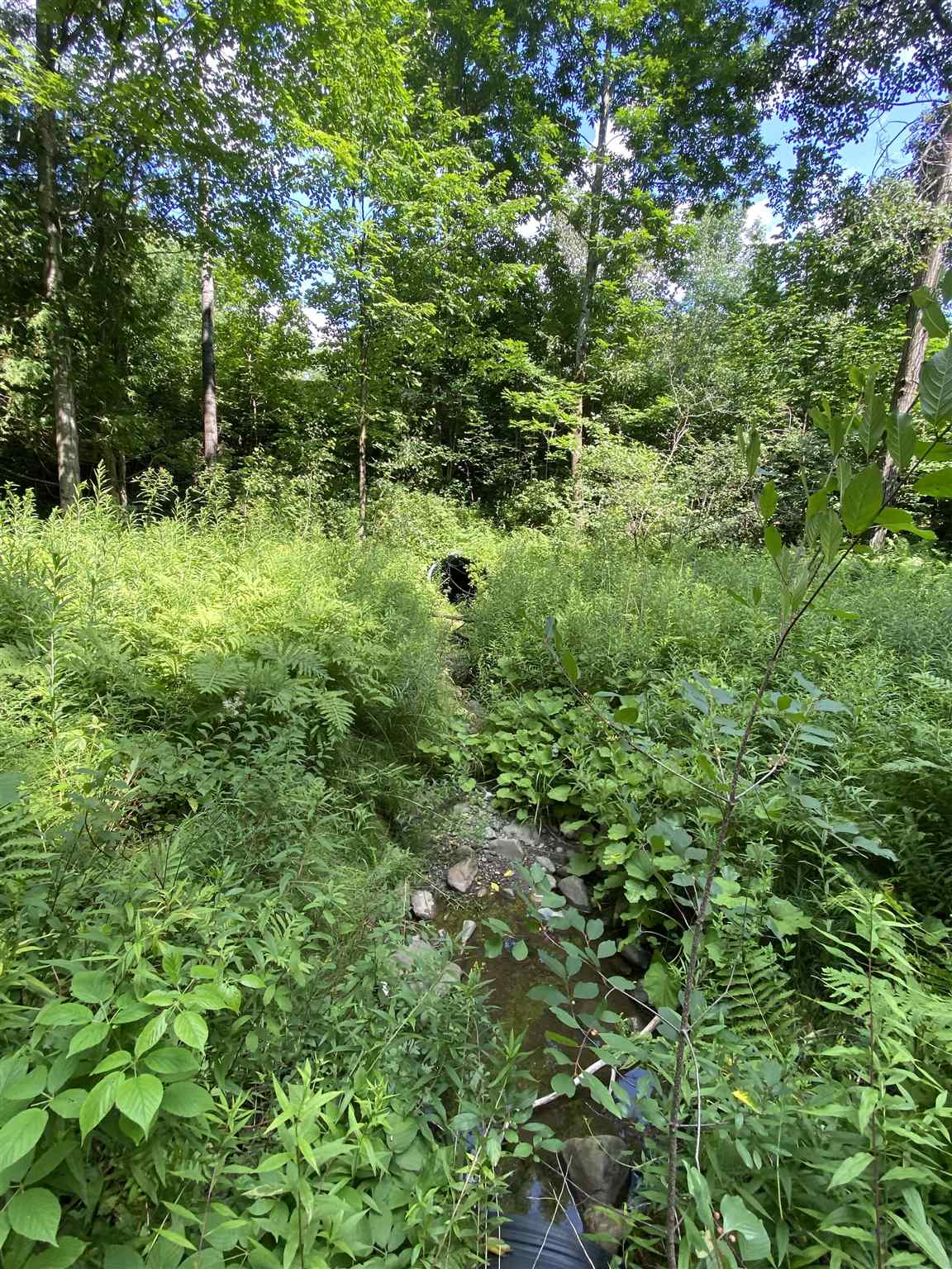 - Vance Hill Road Newport Center, VT 05857 - Photo 20 of 30