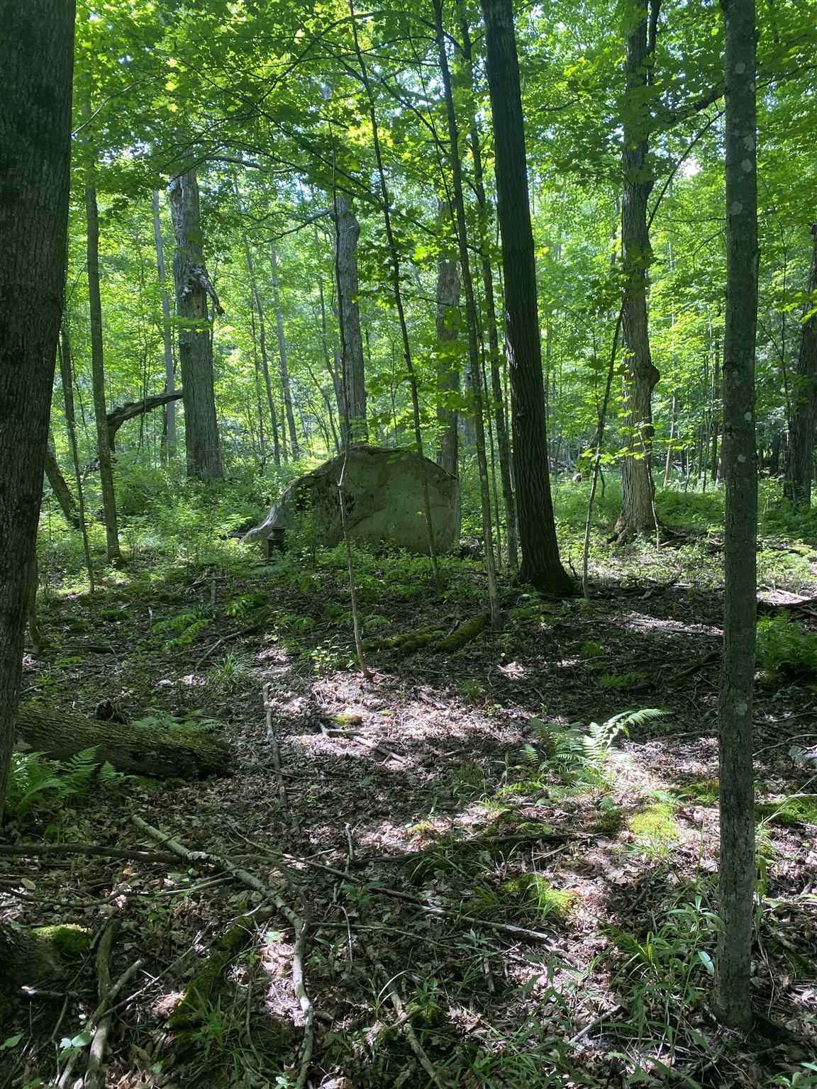 - Vance Hill Road Newport Center, VT 05857 - Photo 4 of 30
