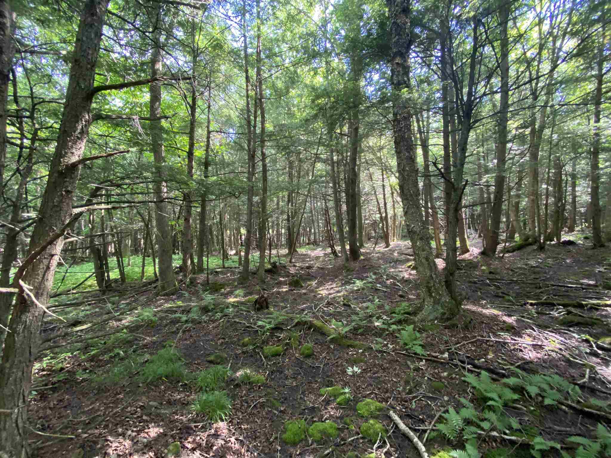 - Vance Hill Road Newport Center, VT 05857 - Photo 5 of 30