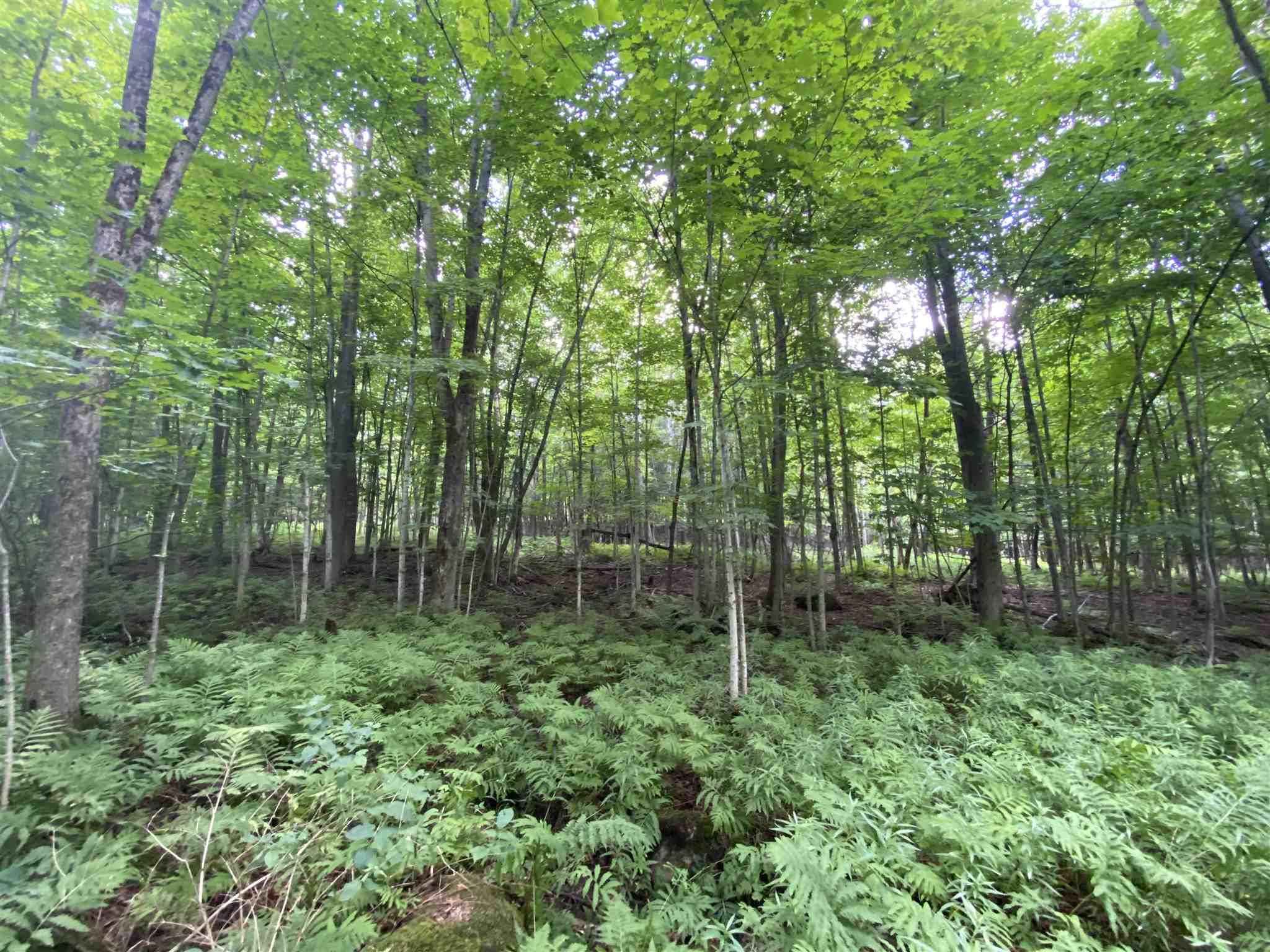 - Vance Hill Road Newport Center, VT 05857 - Photo 9 of 30