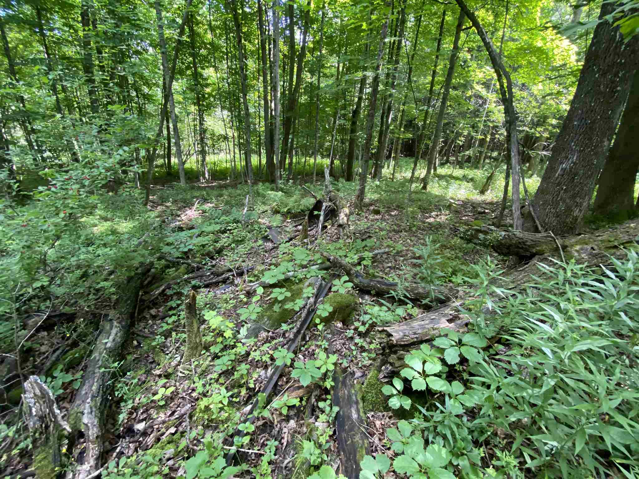 - Vance Hill Road Newport Center, VT 05857 - Photo 10 of 30
