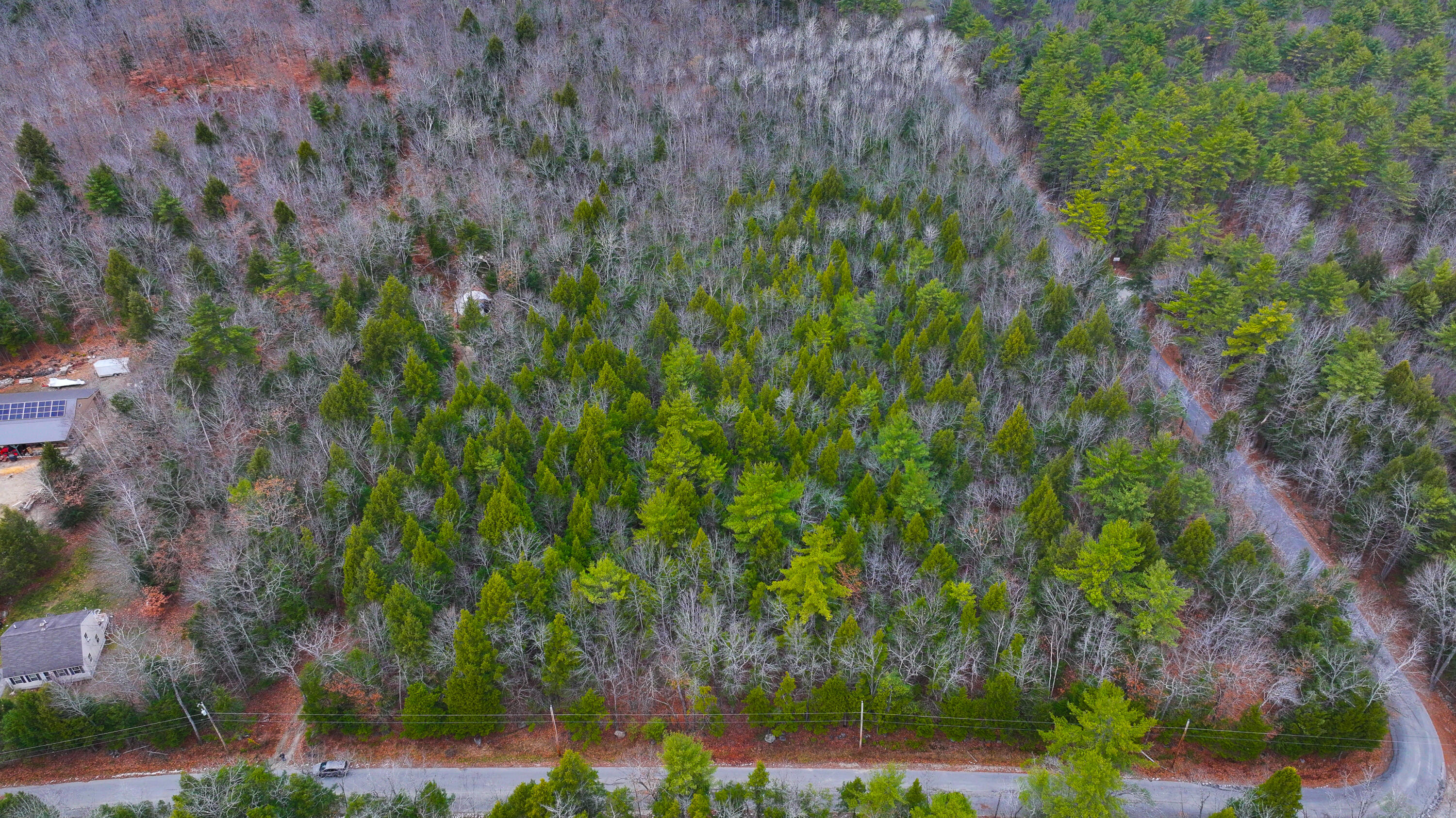 46 Highland Pines Road Bridgton, ME 04009 - Photo 12 of 40 46 Highland Pines Road Bridgton-10