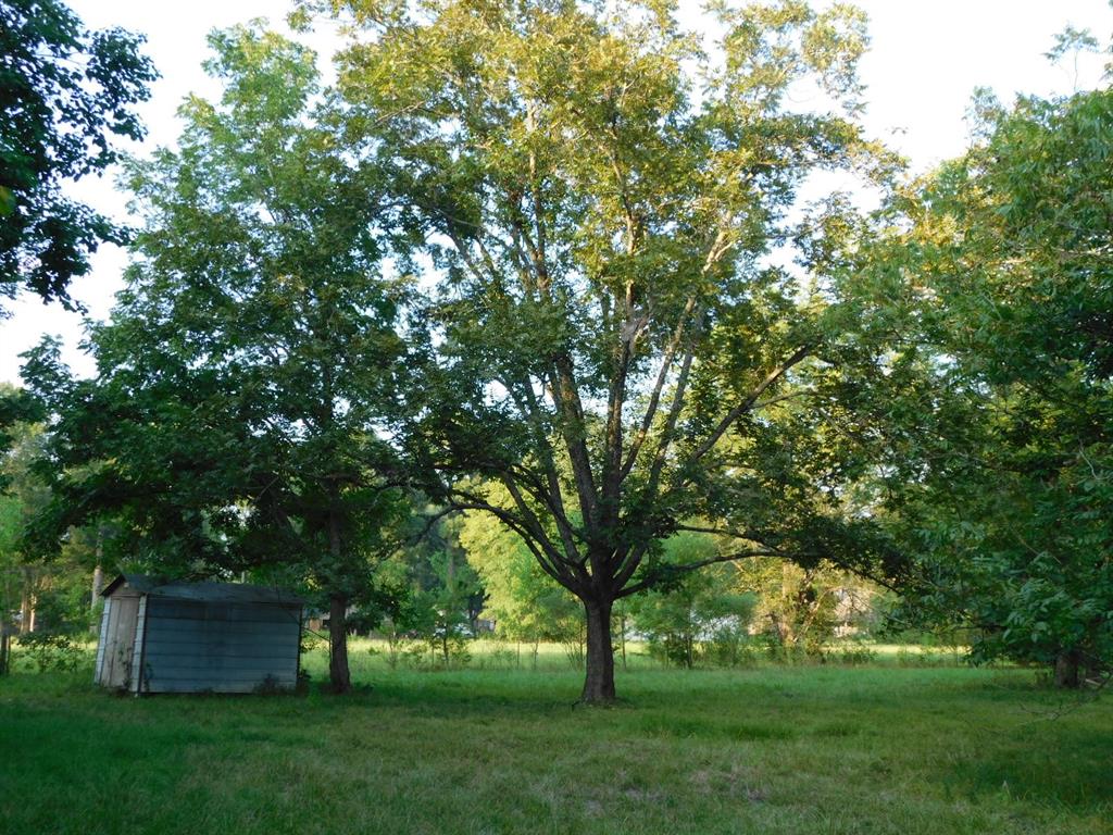 0 Spring Branch Road Springhill, LA 71075 - Photo 11 of 17 a huge green field with lots of trees