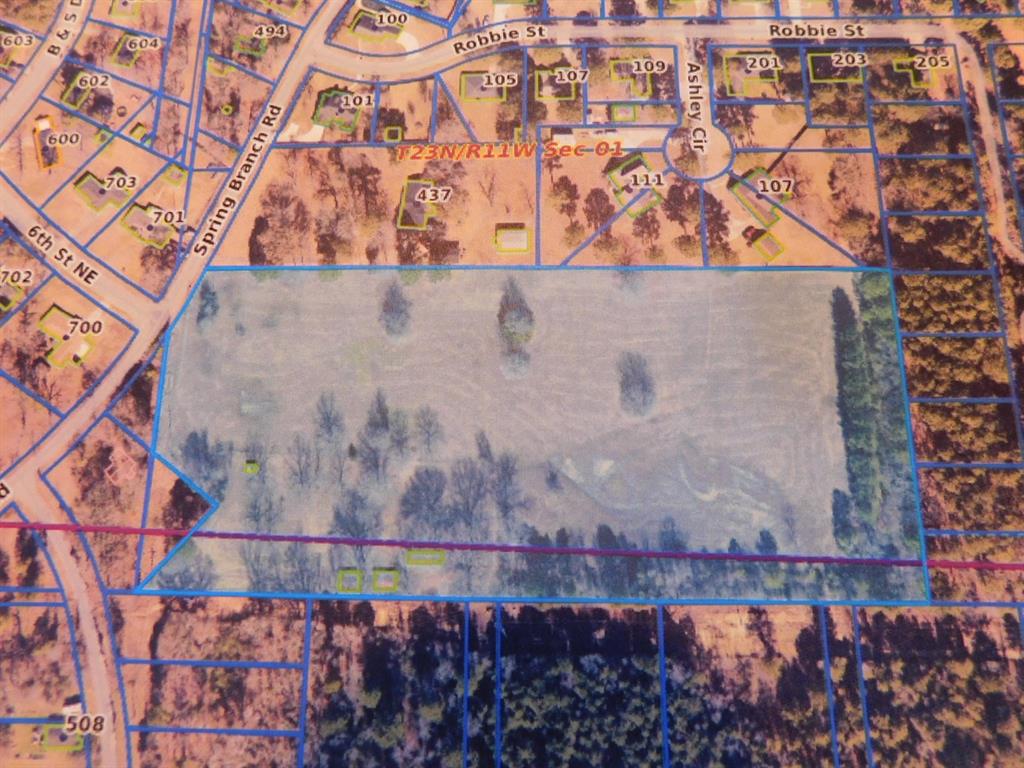 0 Spring Branch Road Springhill, LA 71075 - Photo 2 of 17