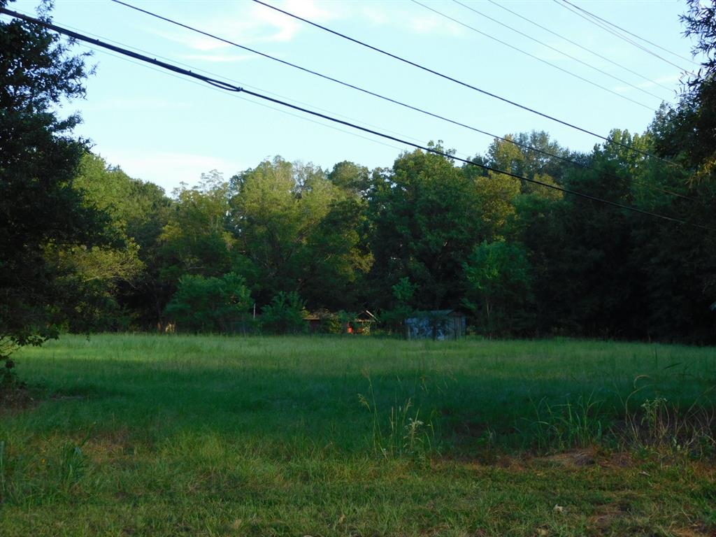0 Spring Branch Road Springhill, LA 71075 - Photo 3 of 17 a backyard of a house with lots of green space
