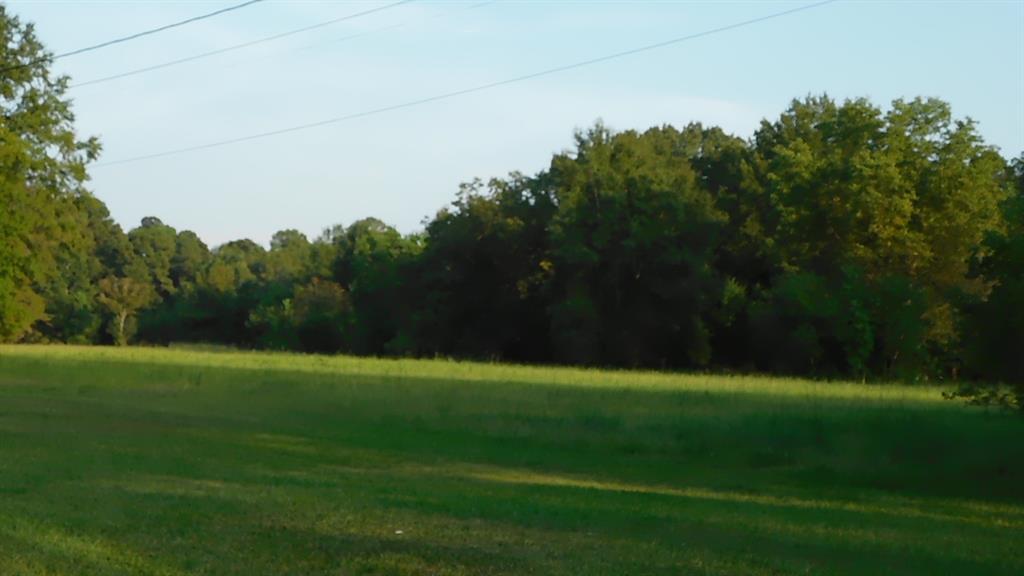 0 Spring Branch Road Springhill, LA 71075 - Photo 4 of 17 a backyard of a house with lots of green space