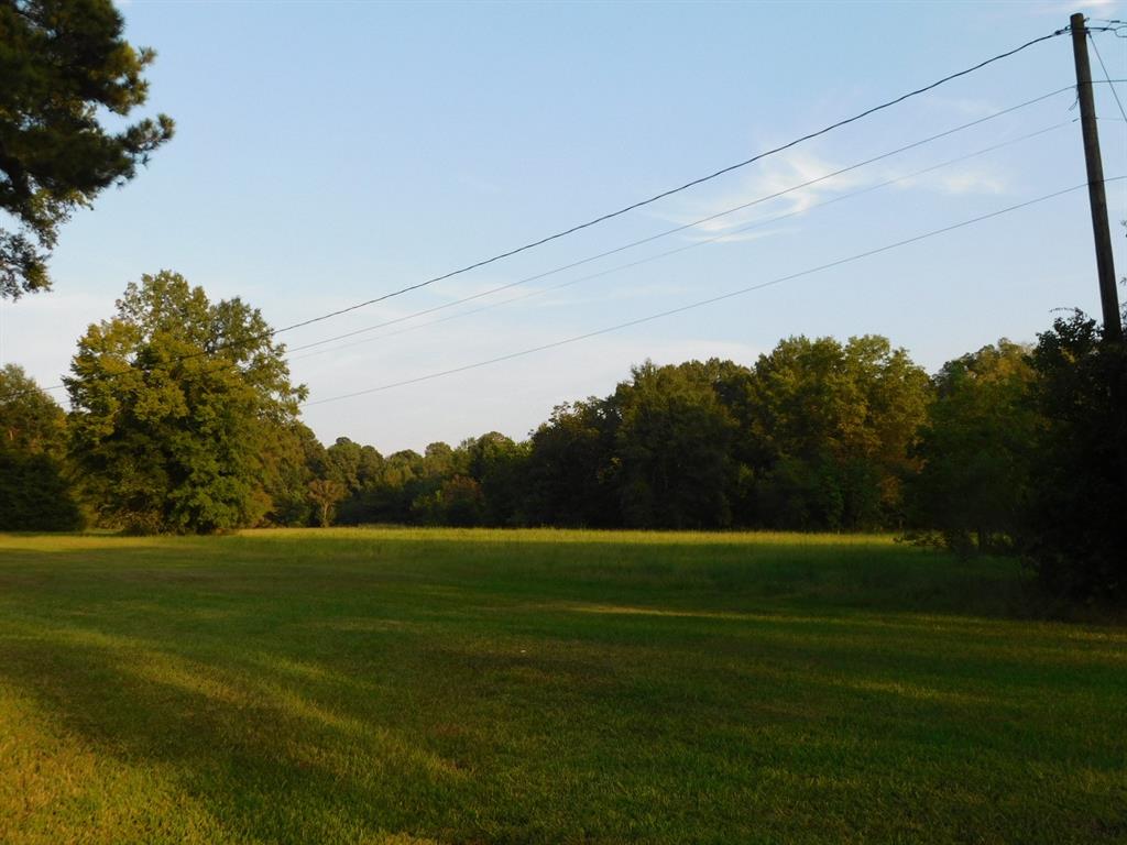 0 Spring Branch Road Springhill, LA 71075 - Photo 5 of 17 a view of a field of grass and trees