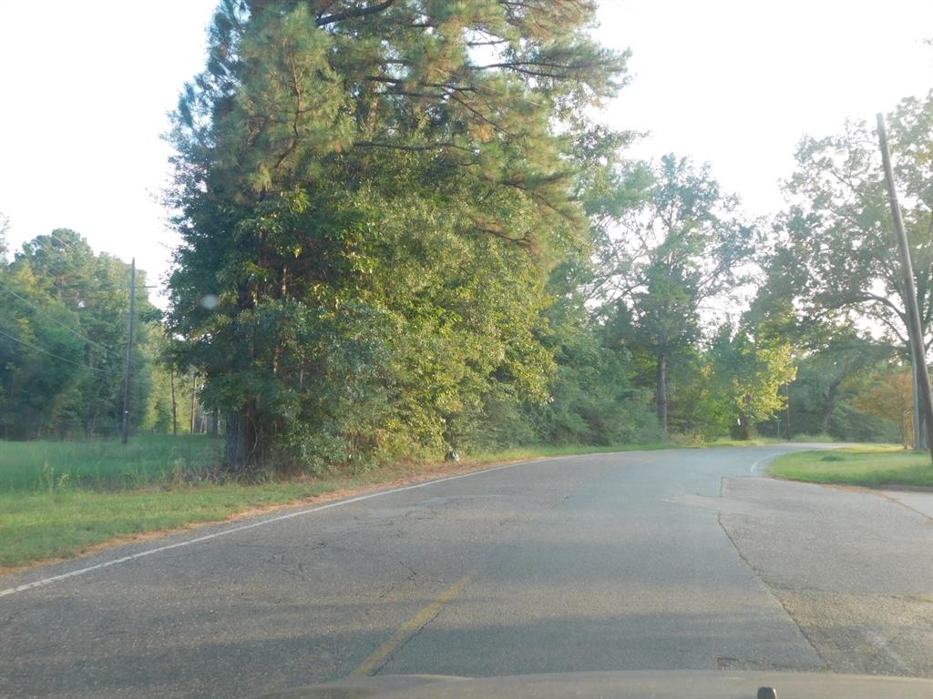 0 Spring Branch Road Springhill, LA 71075 - Photo 6 of 17 a view of a yard with a trees