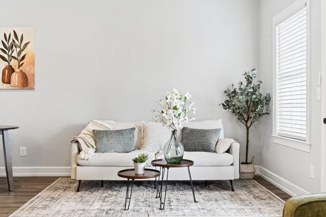 a living room with furniture and a potted plant