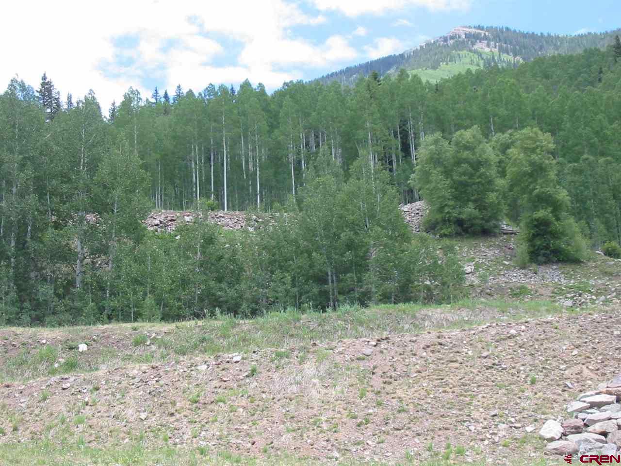 225 South Commercial Street Rico, CO 81332 - Photo 5 of 5 Gallery Image 5