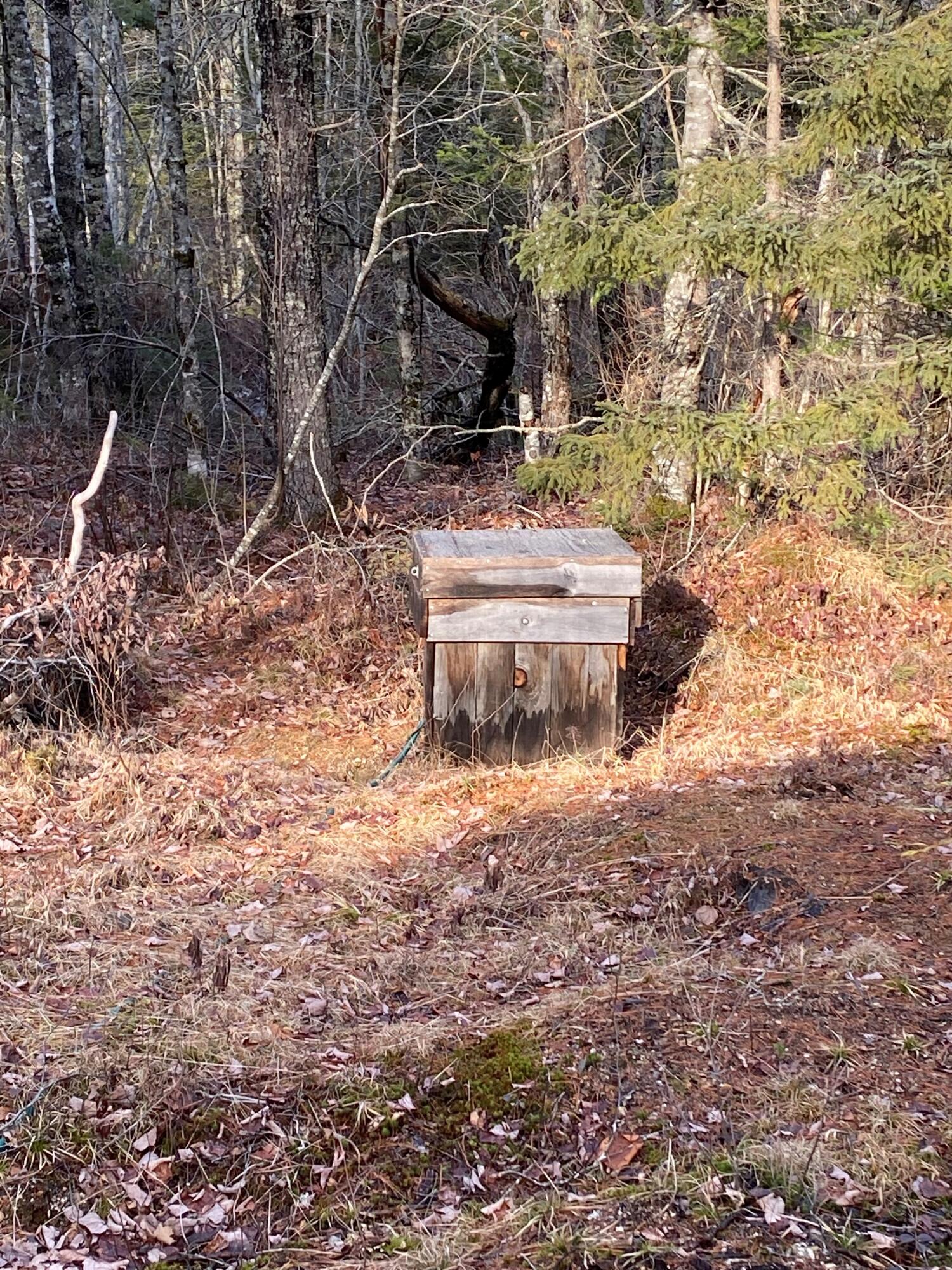 T24 Pretty Pond Road Cherryfield, ME 04622 - Photo 42 of 55 IMG_6363