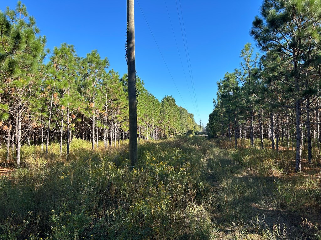 140/ Cty Road Headland, AL 36345 - Photo 26 of 33