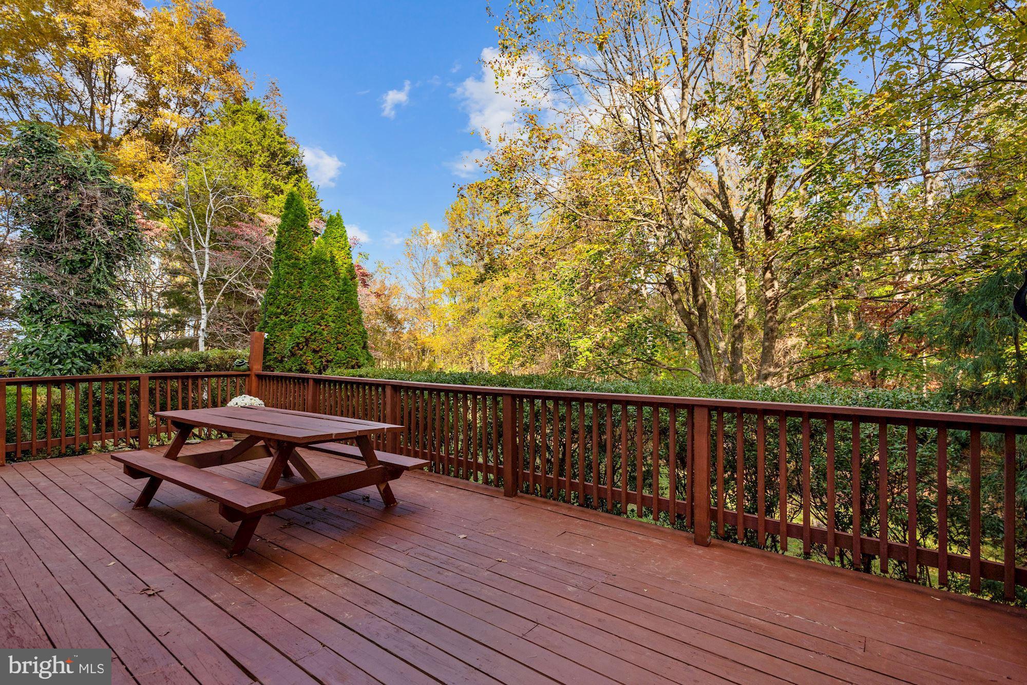 5753 Georgetown Road Broad Run, VA 20137 - Photo 42 of 53 Newly stained deck