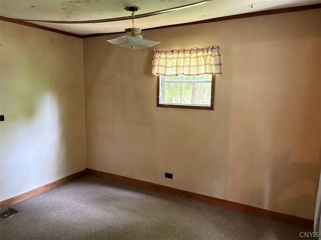 10827 Highway 365 Remsen, NY 13438 - Photo 9 of 26
