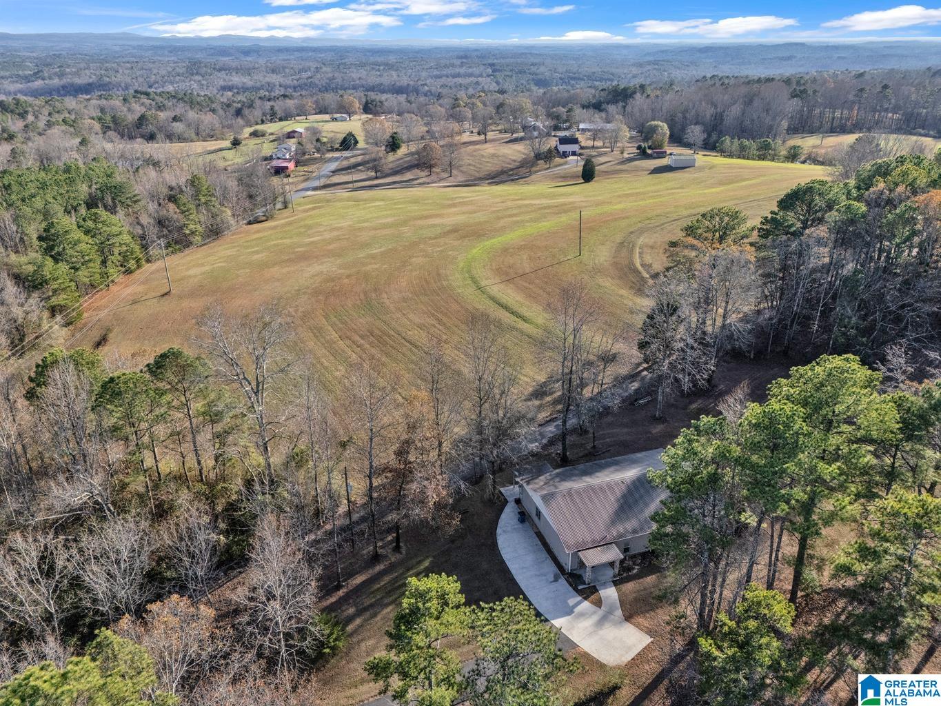 1163 Cox Cove Road Hayden, AL 35079 - Photo 45 of 48