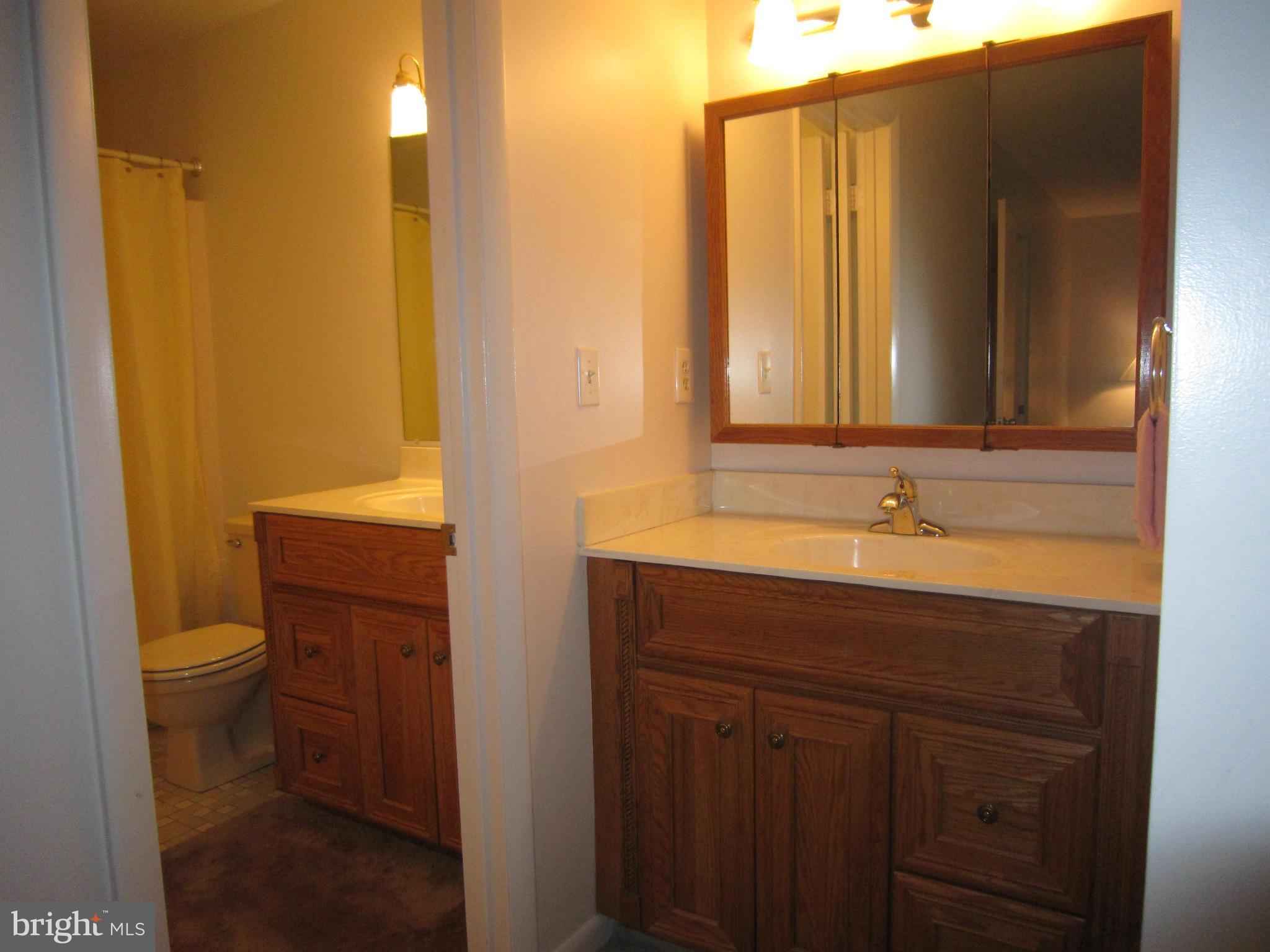 1930 Winterport Cluster Reston, VA 20191 - Photo 11 of 19 Bath (Master)