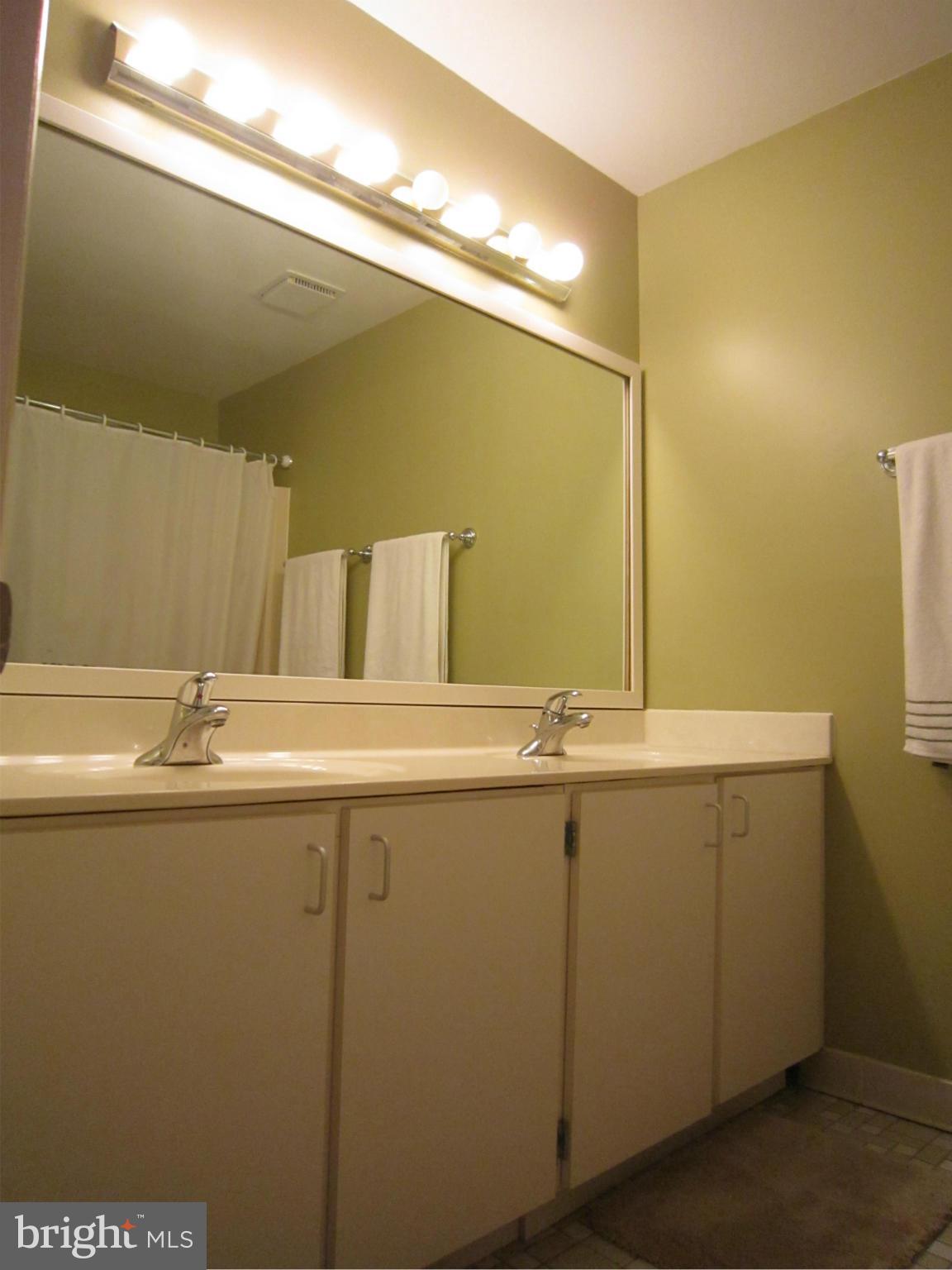 1930 Winterport Cluster Reston, VA 20191 - Photo 8 of 19 Bath