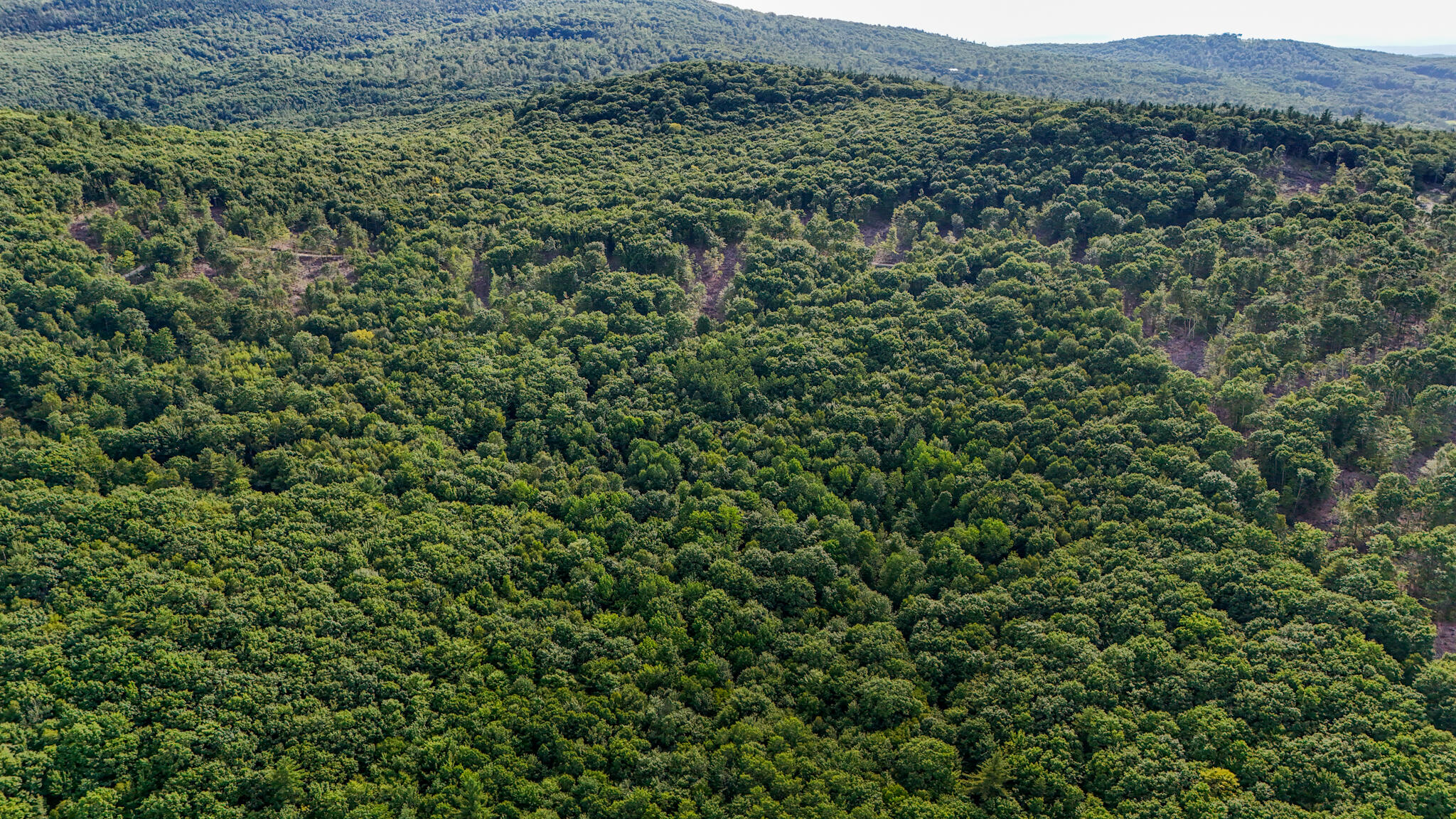 54.62 McAlister Road Buckfield, ME 04220 - Photo 42 of 80 dji_fly_20240718_171834_0107_17213512299