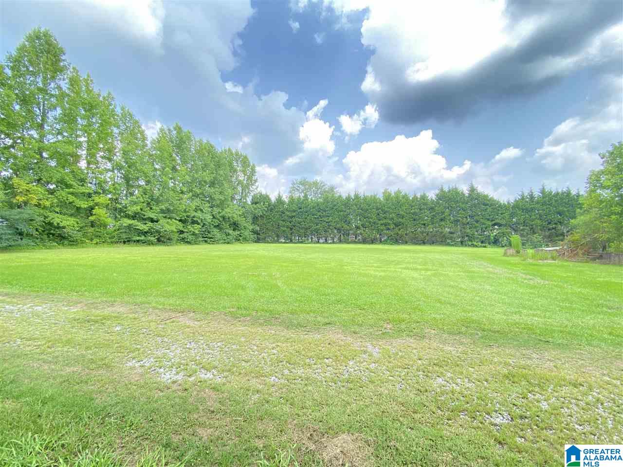 950 Coupland Road Odenville, AL 35120 - Photo 29 of 44