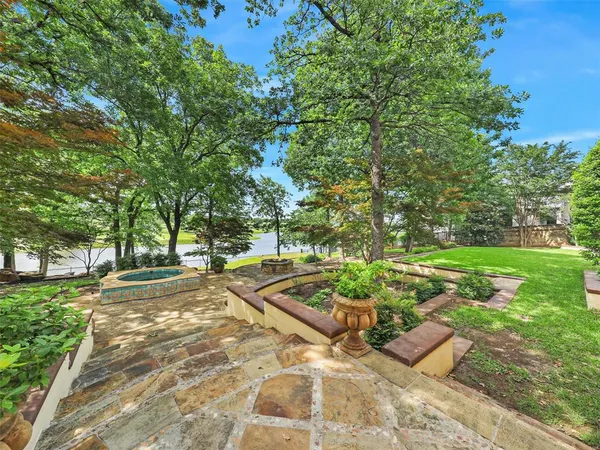 a view of a yard with plants and trees