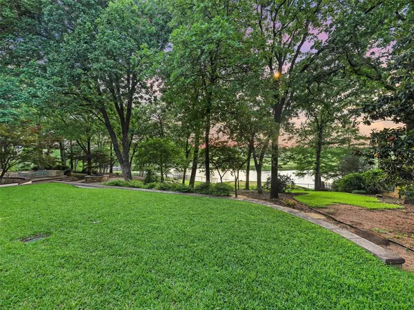 a view of a park with large trees