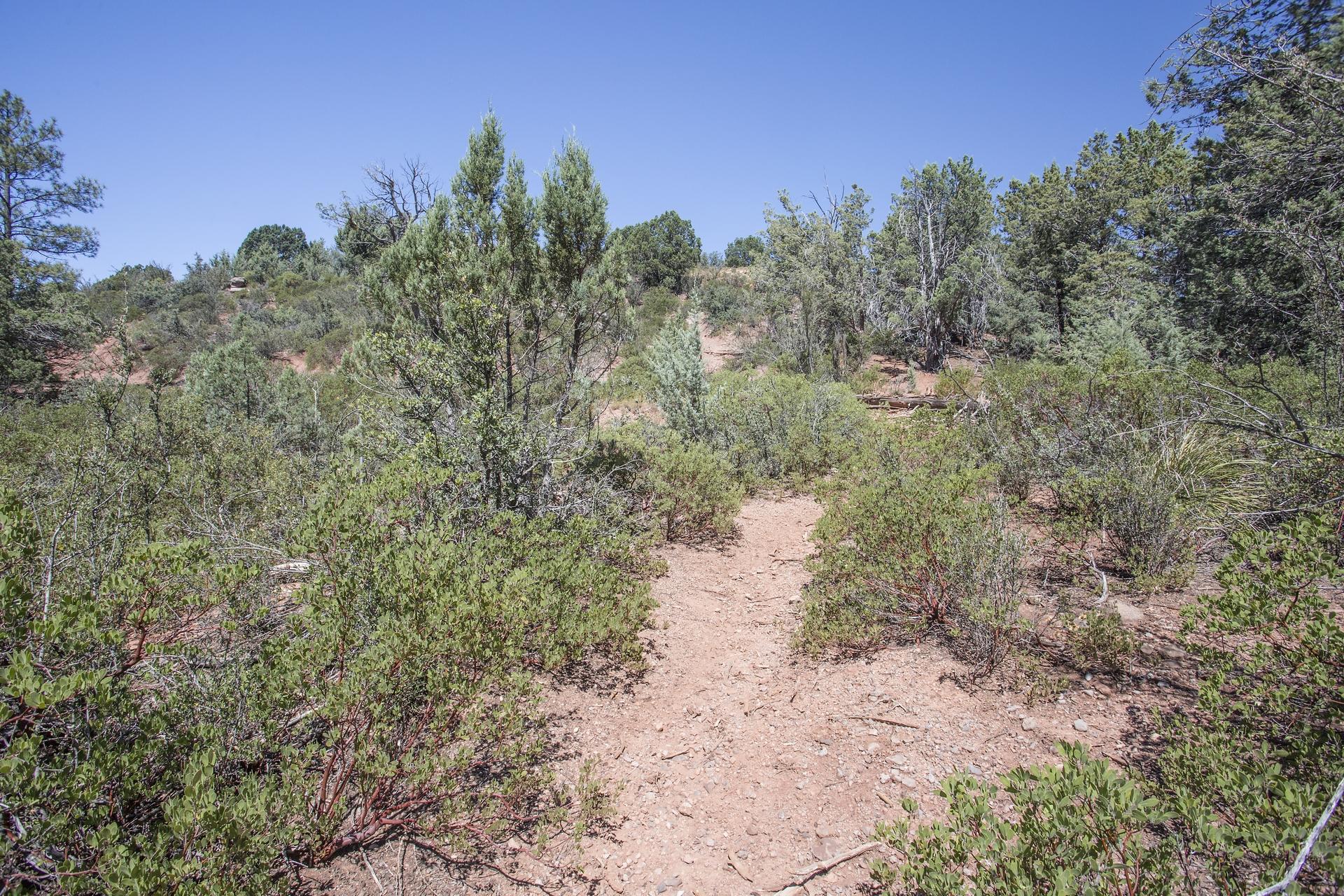 Lot 61 Racoon Ridge Circle Payson, AZ 85541 - Photo 6 of 13
