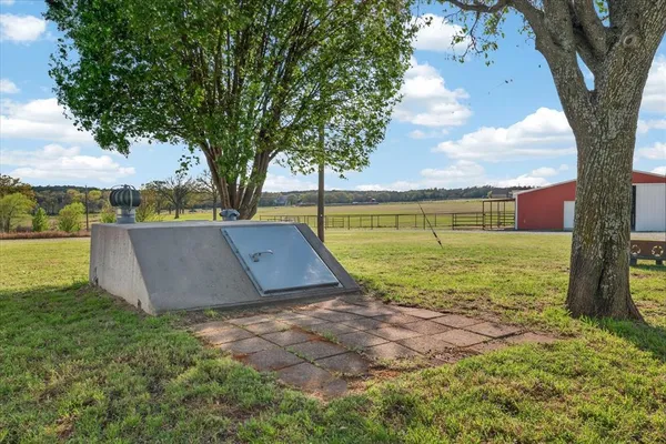 a view of a garden with a large tree