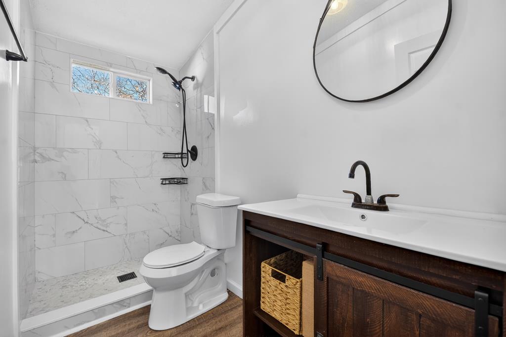 10967 Old Highway 76 Morganton, GA 30560 - Photo 17 of 31 a bathroom with a sink a toilet and a mirror