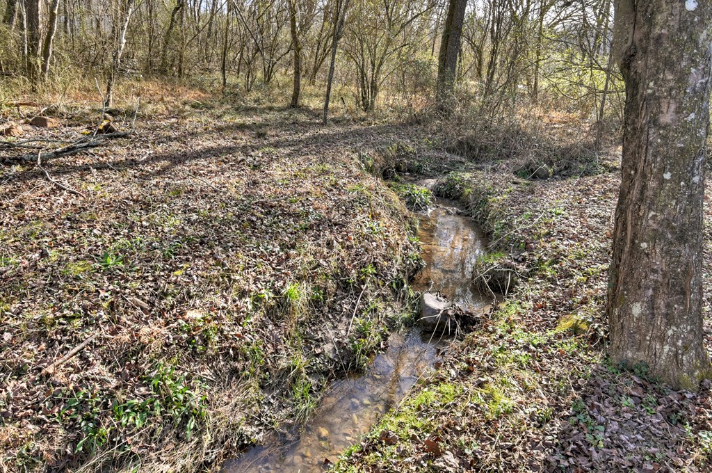 10967 Old Highway 76 Morganton, GA 30560 - Photo 26 of 31 a view of a yard with trees