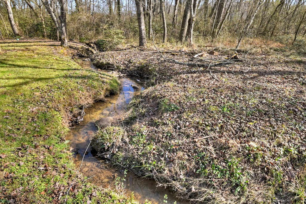 10967 Old Highway 76 Morganton, GA 30560 - Photo 4 of 31 a view of a yard with trees